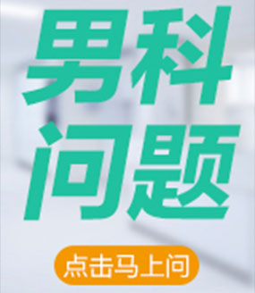 https://www.hitceo.com